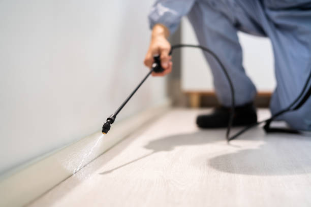 Certified termite inspector examining foundation in Star Valley