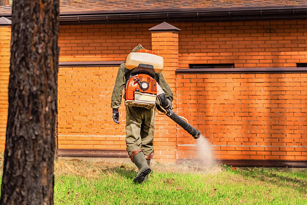 Bed Bug Clearance Verification and Documentation in Star Valley